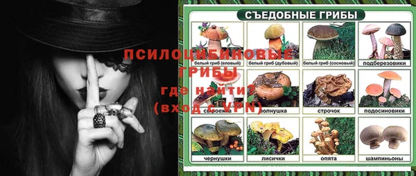 таблы Алзамай