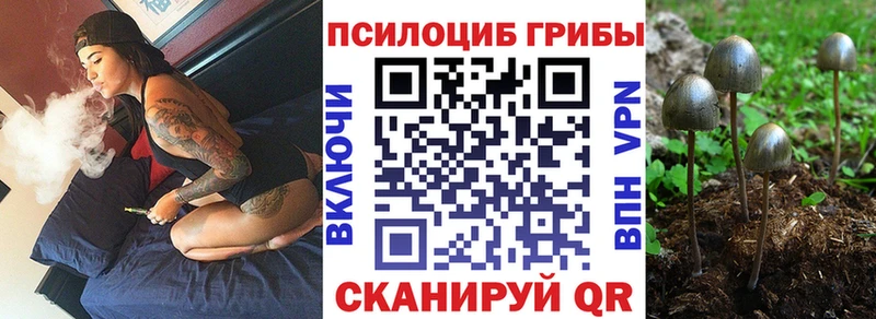 Псилоцибиновые грибы прущие грибы Данков