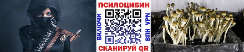 Галлюциногенные грибы прущие грибы  купить наркотик  Данков 