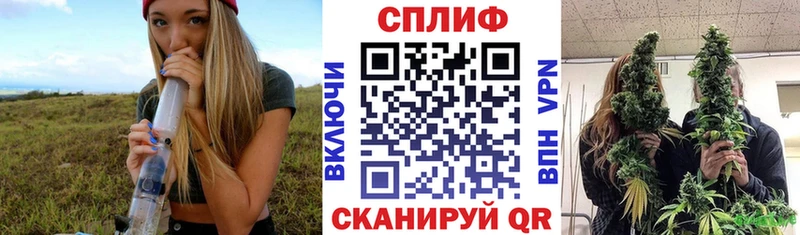 Шишки марихуана индика  ссылка на мегу сайт  Данков  что такое  